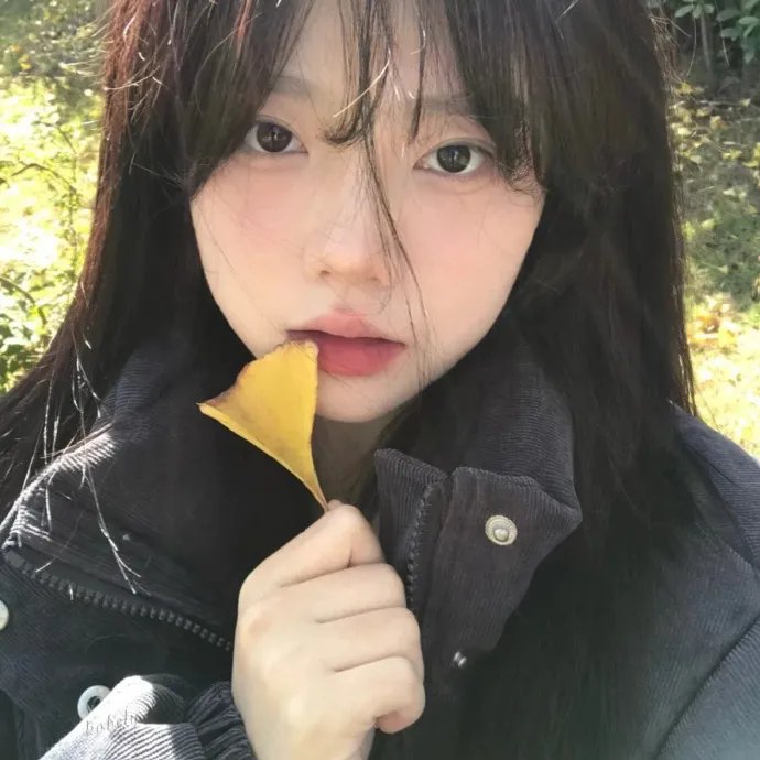 战地女护士